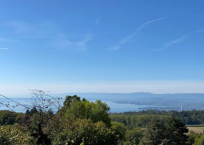 Petite maison à l'orée des bois vue magnifique sur le lac zenitude et plénitude